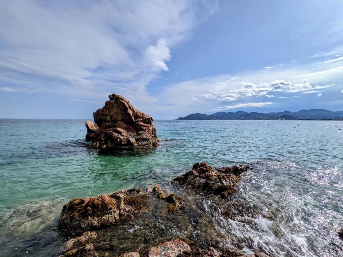 Appartamento Sunny Entire Appartement Cannes Cannes